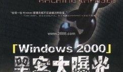 史上最大黑客爆料视频,内幕视频深度解析